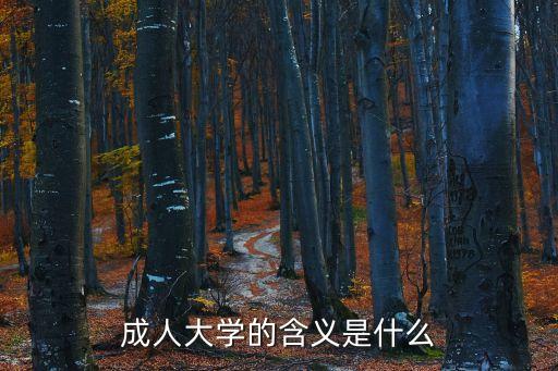 成人大學(xué)，成人大學(xué)的含義是什么