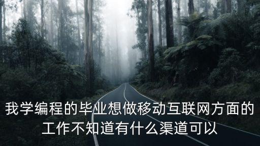 我學(xué)編程的畢業(yè)想做移動(dòng)互聯(lián)網(wǎng)方面的工作不知道有什么渠道可以