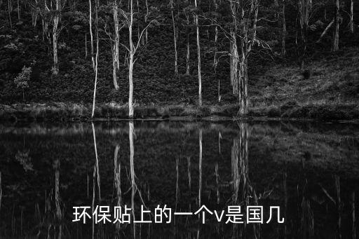 環(huán)保貼上的一個v是國幾