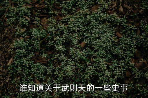 誰知道關于武則天的一些史事