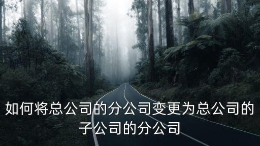 子公司，什么是子公司