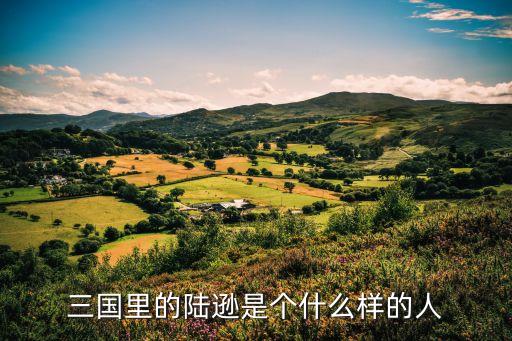 三國里的陸遜是個什么樣的人