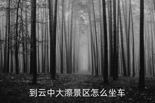 到云中大漈景區怎么坐車