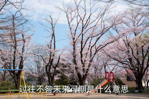 過往不咎未來可期是什么意思