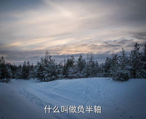 負(fù)半軸，什么叫做負(fù)半軸