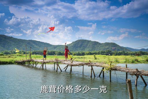 鹿胎價格，鹿胎多少錢盒管治什么癥狀