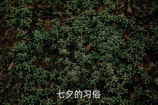 七夕風俗，七夕的傳統習俗