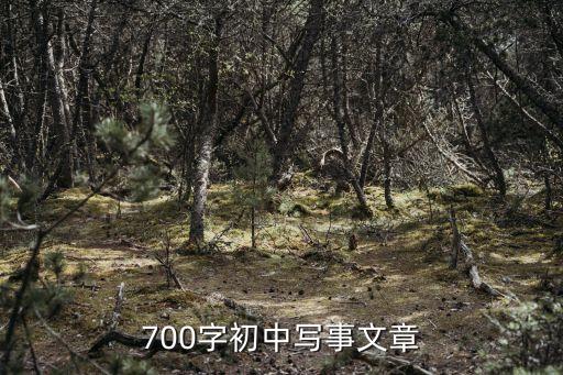 作文700字初中，求一篇700字的初中作文