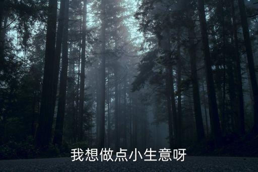我想做生意，想做個小生意不知道干什么好