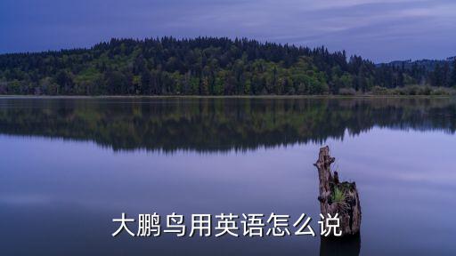 霸王龍英語，霸王龍用英語怎么說