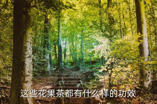果茶的功效與作用，蘋(píng)果水果茶的功效