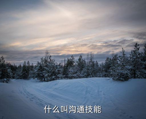 溝通技能，與人溝通的技能都有哪些