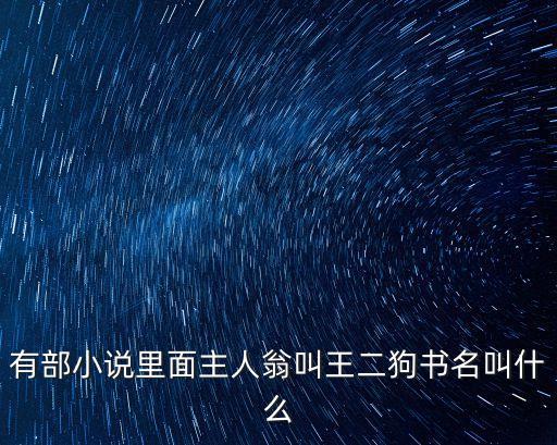 有部小說里面主人翁叫王二狗書名叫什么