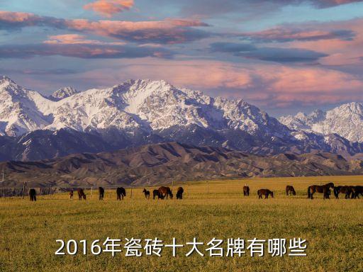 2016年瓷磚十大名牌有哪些