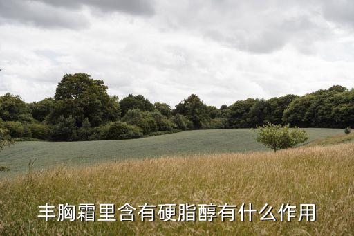 豐胸霜里含有硬脂醇有什么作用