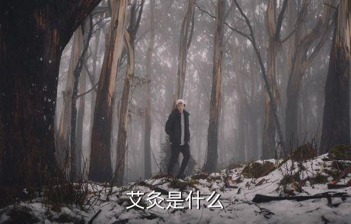 艾灸是什么
