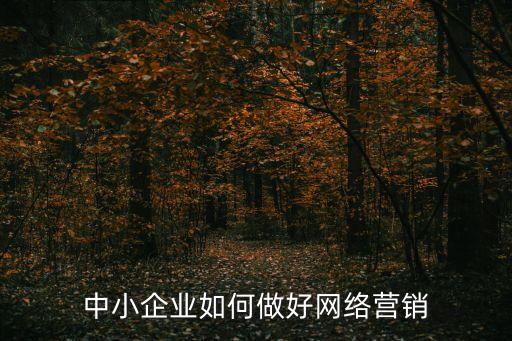 中小企業(yè)如何做好網(wǎng)絡(luò)營銷