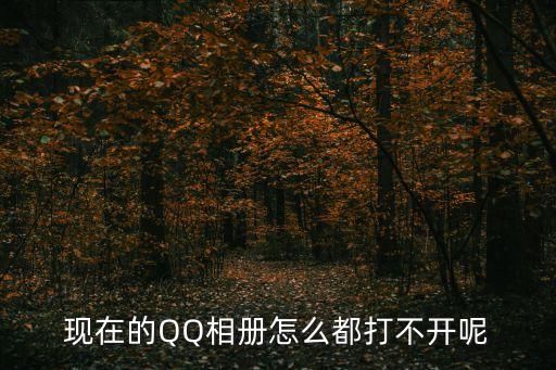 qq相冊打不開，我的QQ相冊為什么打不開