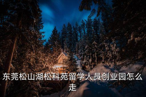 東莞松山湖松科苑留學人員創業園怎么走