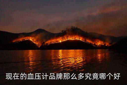 現在的血壓計品牌那么多究竟哪個好