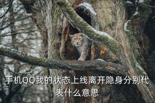 qq狀態，QQ各種狀態有什么用