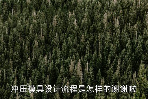 沖壓模具設計流程是怎樣的謝謝啦