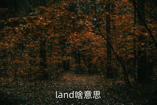 land，land是什么意思