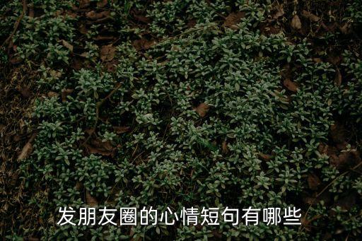 適合發朋友圈，發朋友圈的心情短句有哪些