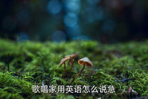 歌唱家的英文，歌唱家用英語怎么說急