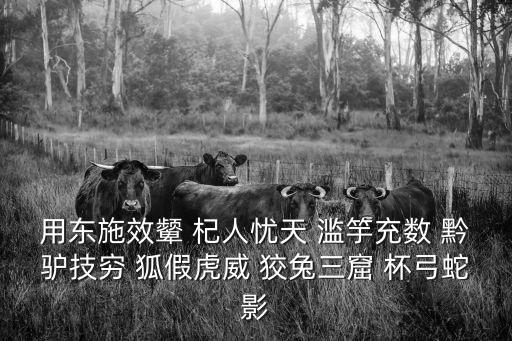 用東施效顰 杞人憂天 濫竽充數 黔驢技窮 狐假虎威 狡兔三窟 杯弓蛇影