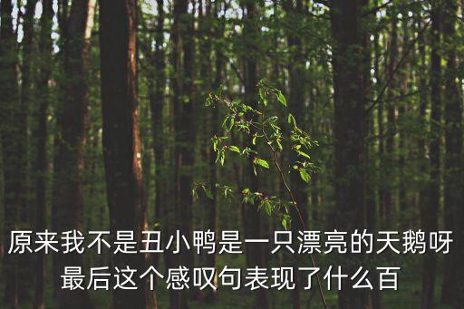我不是丑小鴨，我不是丑小鴨而是美麗的白天鵝這句話怎么加標(biāo)點(diǎn)符號(hào)