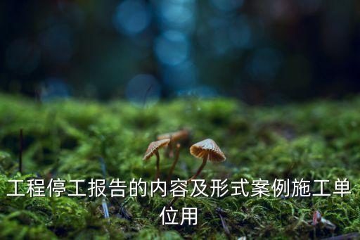 工程停工報(bào)告，工程停工報(bào)告的內(nèi)容及形式案例施工單位用