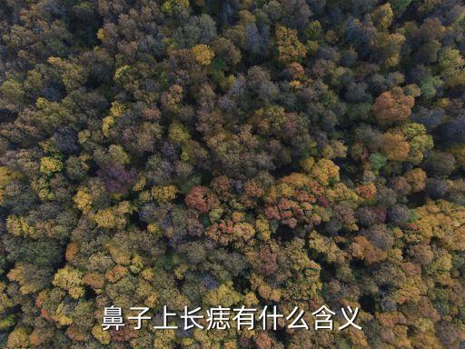 女人鼻子上的痣圖解，鼻子上有痣代表什么對(duì)財(cái)運(yùn)有何影響