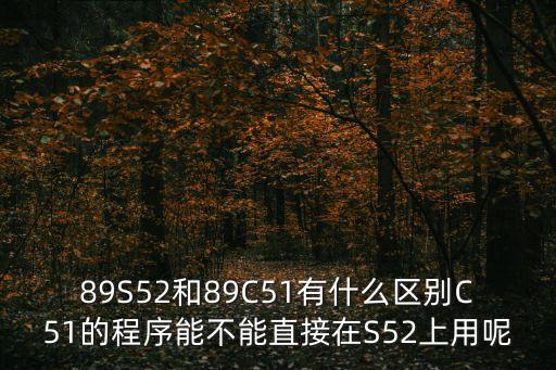 89s52，ATMEL的89s51和89s52有什么區(qū)別