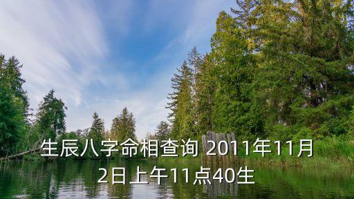 生辰八字命相查詢 2011年11月2日上午11點(diǎn)40生