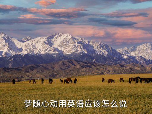 夢隨心動，夢隨心動是什么意思啊