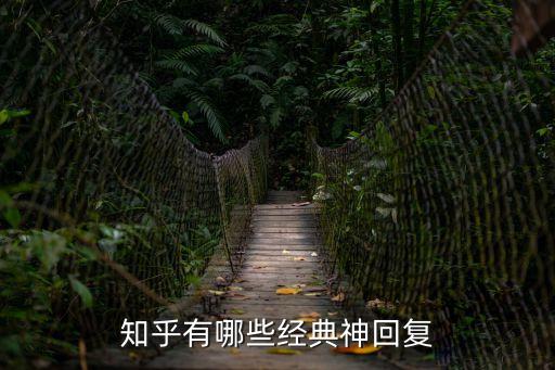 神回復，知乎有哪些經典神回復