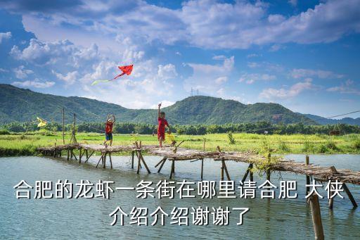 合肥龍蝦，合肥哪里的龍蝦有名