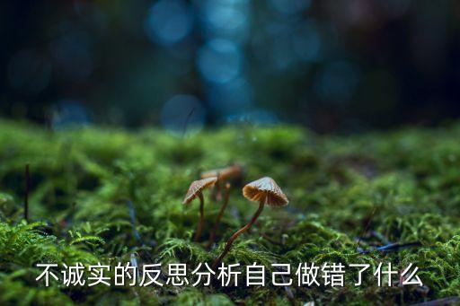 不誠實的反思分析自己做錯了什么