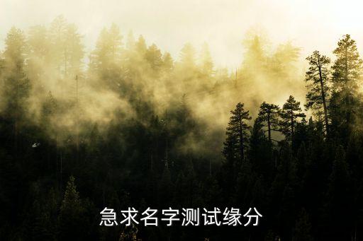 急求名字測試緣分