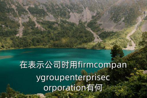 在表示公司時用firmcompanygroupenterprisecorporation有何