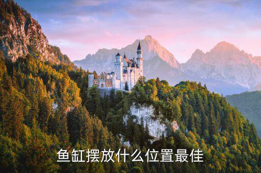 魚缸的擺放位置，魚缸擺放什么位置最佳