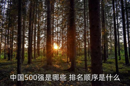 中國五百強(qiáng)排名，中國500強(qiáng)企業(yè)