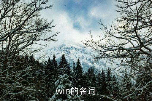 win的名詞，win的名詞形式是什么