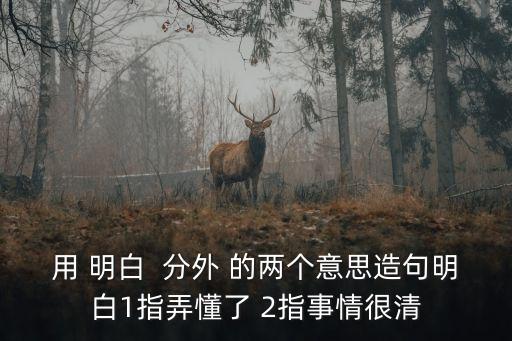 分外的意思，分外的近義詞