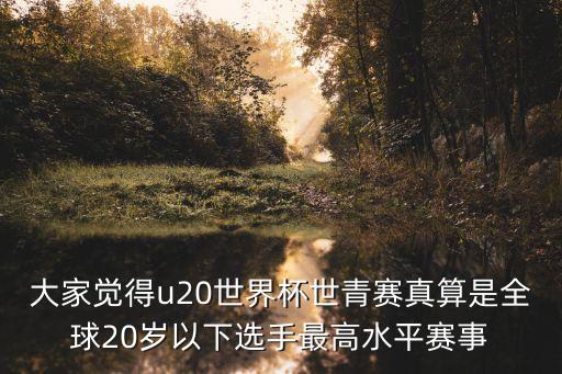 u20世界杯，大家覺得u20世界杯世青賽真算是全球20歲以下選手最高水平賽事