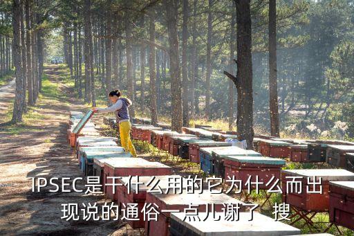 ipsec，ipsec是什么技術