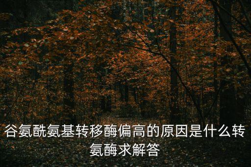 谷氨酰氨基轉移酶偏高的原因是什么轉氨酶求解答