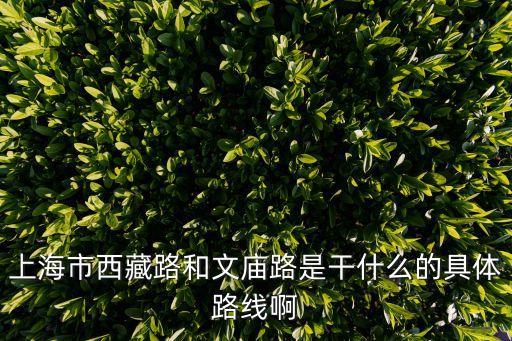 西藏路，盧灣區西藏路復興路 是那里的地址