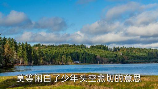 莫等閑的意思，莫等閑白了少年頭空悲切 的意思